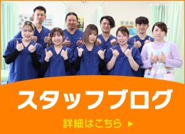 スタッフブログ